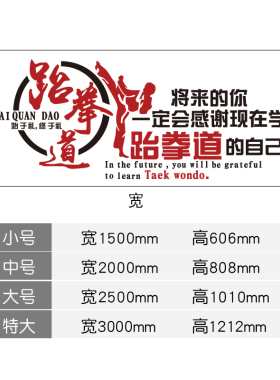 跆拳道馆文化墙贴拳击馆武馆健身房墙壁装饰贴纸励志压克力贴画