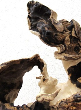 天然风化陈化枯木原木整体随形根雕根艺摆件自然禅意生态家居饰品