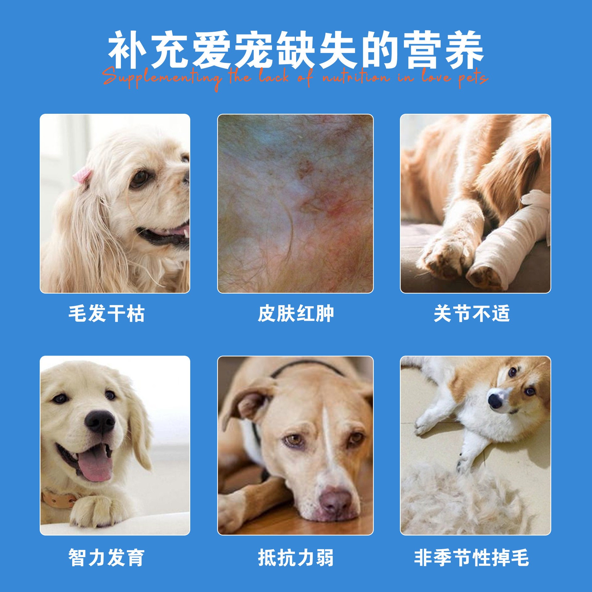 宠贝勒深海鱼油片猫狗通用宠物营养补充剂猫咪omega3美毛护毛亮毛