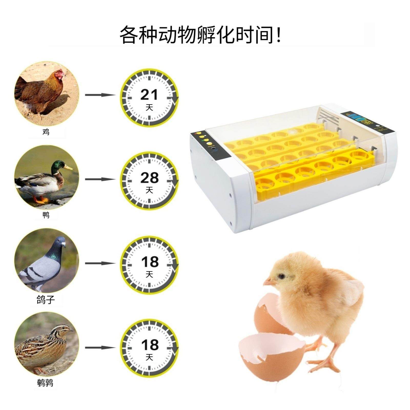 孵化器家用智能小鸡养殖孵化设备24枚鸡蛋家禽孵化机鸟类孵蛋器,淘宝优惠券,粉丝福利购,淘宝优惠卷