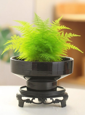 苔藓球花盆米竹水培植物托盘米竹菖蒲盆景蕨类专用盆微桌面器皿