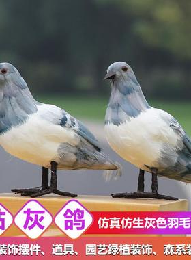 极速仿真装饰摆饰羽毛o鸟鸽子家居小鸟假鸟类模型道具灰动物标本