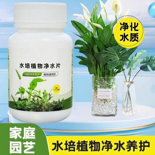 水培植物净水片除臭杀菌消毒富贵竹碗睡莲专用净化水质鲜花保鲜片 - 图1