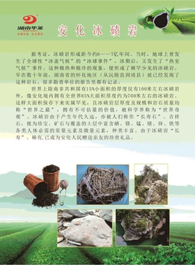 九大保健功效海报展板黑茶金花安化冰碛岩墙贴墙纸挂图装饰画富硒