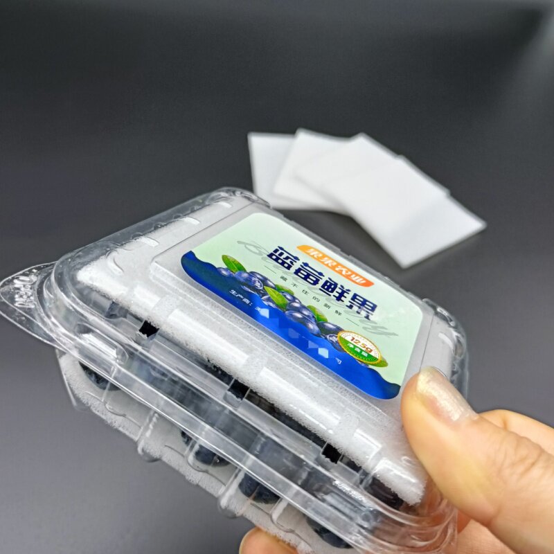 蓝莓环保薄海绵垫水果桃子专用垫片草莓荔枝防破损保护垫吸水海绵