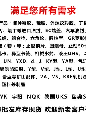 NQK进口骨架油封TC12*18/19/20/21/22/23/24/25*4/5/6/7/8/9/10