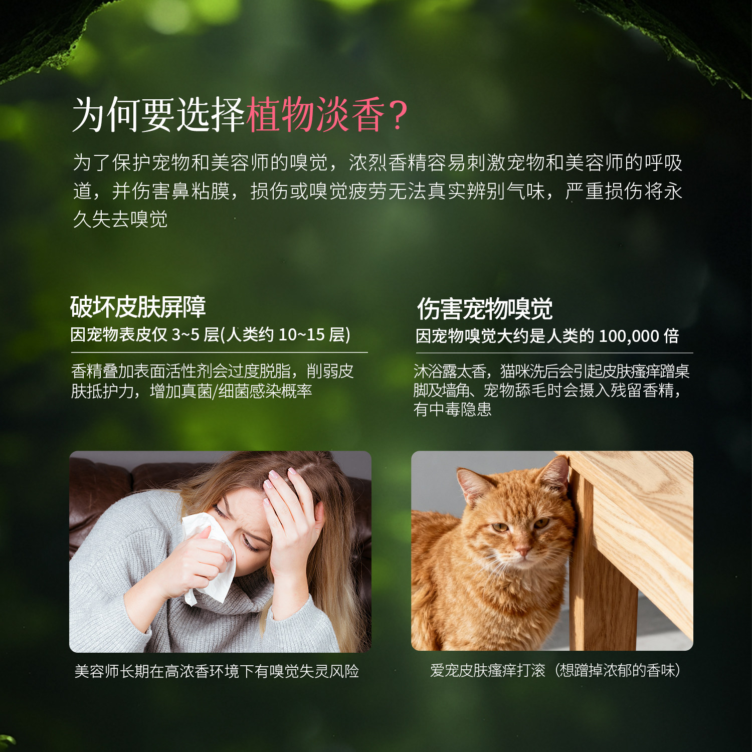 德国DK猫咪沐浴露去油除臭香波开结舒缓猫专用洗护宠物沐浴液护毛,淘宝优惠券,粉丝福利购,淘宝优惠卷