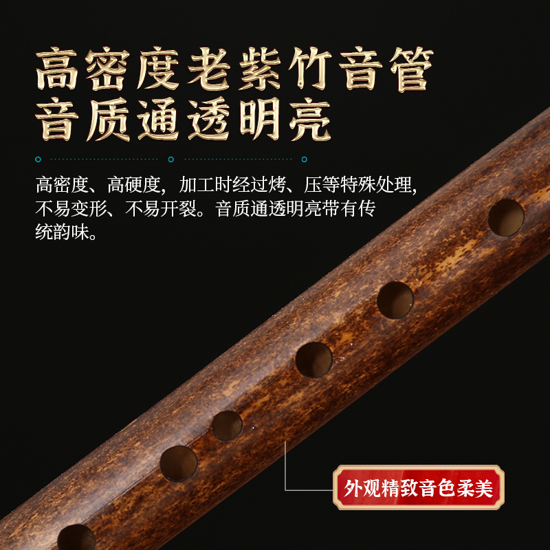 滇南古韵葫芦丝C调小学生专用降B调小DAGF成人儿童初学乐器旗舰店 - 图2