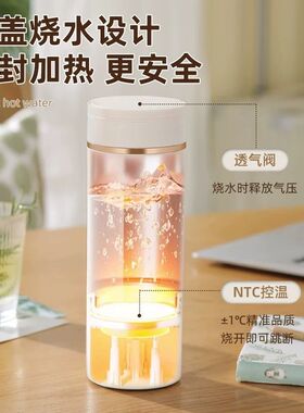 烧水杯家用小型可携式烧水壶迷你多功能养生杯旅行电热恒温杯一体