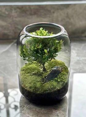 生命之树微景观玻璃瓶苔藓多肉植物绿植造景桌面创意摆件花瓶批发