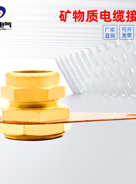 YTTW矿物质电缆终端头柔性绝缘防火电缆接地端子RTTZ四五芯接地卡