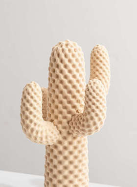 仙人掌摆件创意客厅电视柜壁龛摆设简约现代乔迁送礼桌面软装饰品