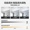 2026 New Atmospheric Living Room Lamp Modern Simple Whole House Ceiling Lamp Bedroom Restaurant Chandelier Zhongshan Lamps Collection