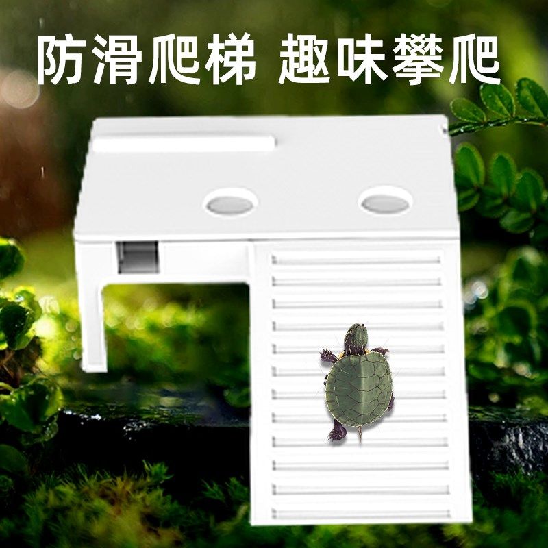 乌龟缸晒台爬台躲避屋龟缸过滤爬梯造景别墅爬宠休息喂食晒背平台,淘宝优惠券,粉丝福利购,淘宝优惠卷