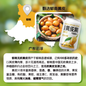 首单！郁南黄皮果汁气泡饮330ml*2罐