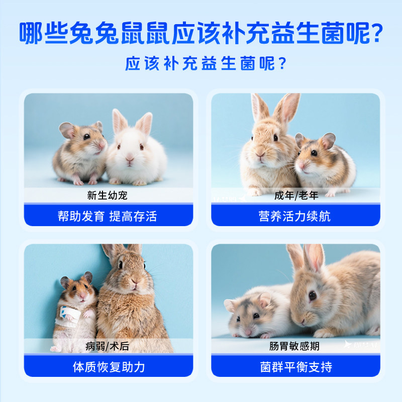 PetAg倍泰吉美国帮你壮宠物荷兰猪龙猫豚鼠兔子营养整肠膏益生菌,淘宝优惠券,粉丝福利购,淘宝优惠卷