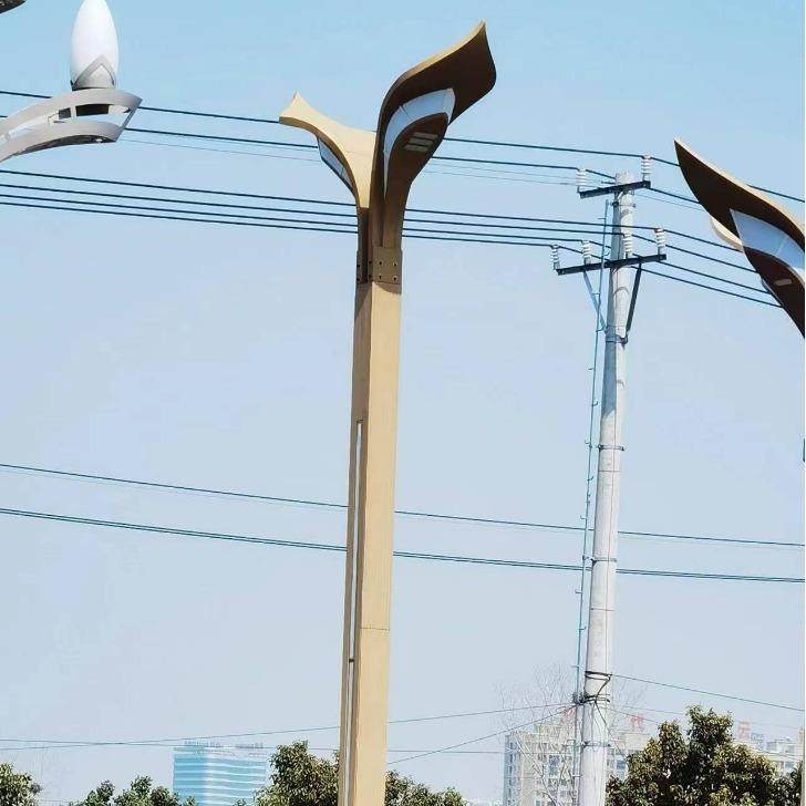 中华灯玉兰灯户外球形路灯杆景观灯具广场组合道路超亮草坪灯,淘宝优惠券,粉丝福利购,淘宝优惠卷