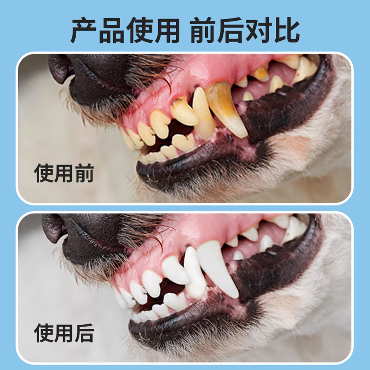 宠物洁齿水狗狗猫咪洁牙可食用去除口臭益生菌漱口水口腔结石清洁,淘宝优惠券,粉丝福利购,淘宝优惠卷