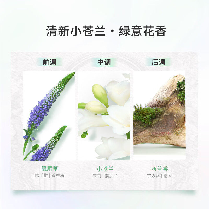 力士植萃精油香氛洗发露洗发水护发素套装小苍兰男女洗头膏洗发乳