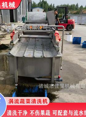 涡流气泡清洗设备土豆片压涡流清洗机果蔬净菜加工清洗机