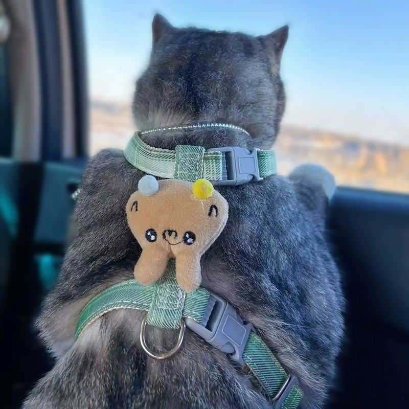 猫咪牵引绳防挣脱宠物兔子外出专用背心小奶猫布偶遛猫链子猫绳子,淘宝优惠券,粉丝福利购,淘宝优惠卷