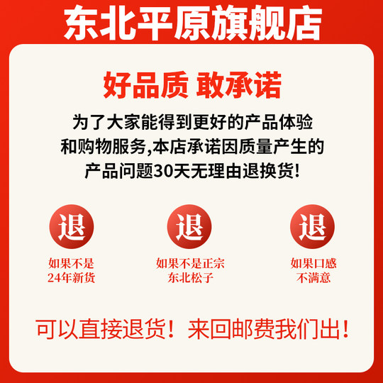 Authentic Northeastern Pine Nuts Official Flagship Store New Arrival Large Nuts