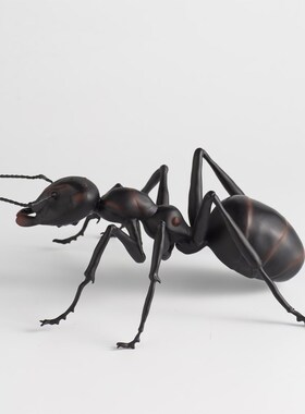 铜摆件仿真大蚂蚁雕塑家居装饰品客厅玄关酒柜办公室桌面茶宠摆件