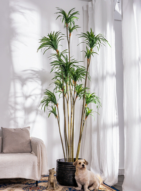 新品大型仿d真龙血树千年木绿植假树植物室内客厅落地盆栽造景装