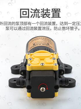 XLD大流量大功率双螺纹回流隔膜节能净水机开槽机水泵