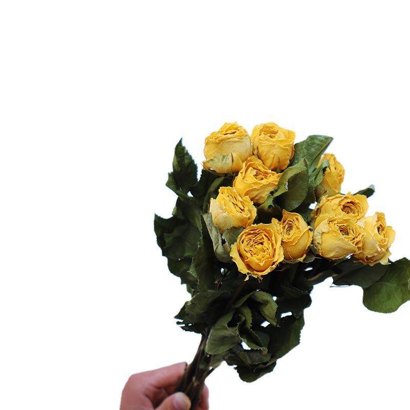玫瑰干花云南干花拍摄道具diy手工花材黄玫瑰滴胶压花材料,淘宝优惠券,粉丝福利购,淘宝优惠卷