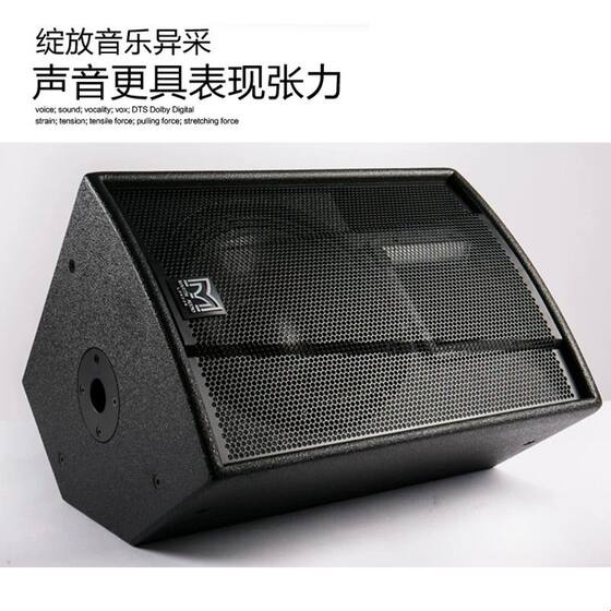 专业音箱 10 12 15寸家庭KTV酒吧舞台会议舞蹈室演出玛田音响套装