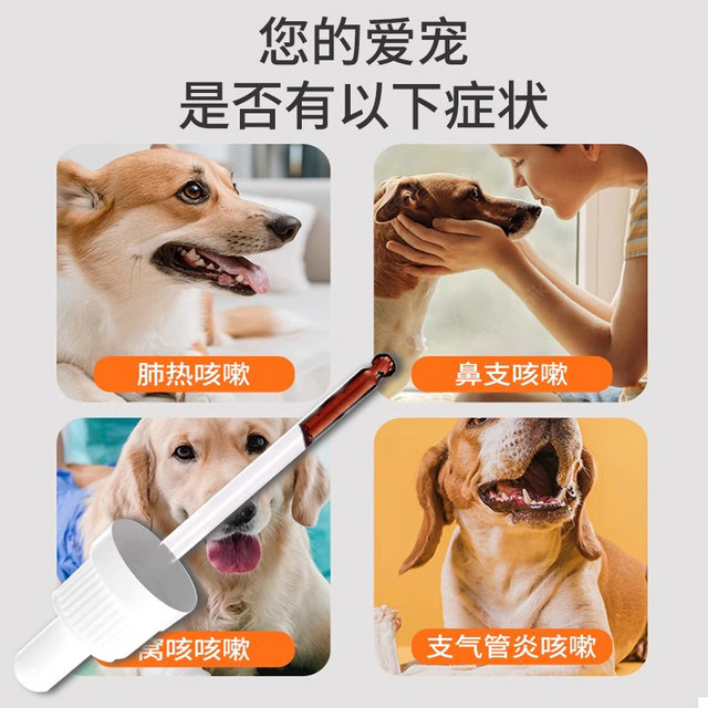 Pure Chinese medicine, sweet and gallbladder oral liquid, pets relieve cough and asthma