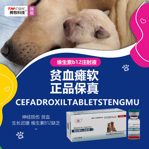 宠物维生素b12注射用液猫咪狗狗犬神经炎生长迟缓贫血身体软无力 - 图1