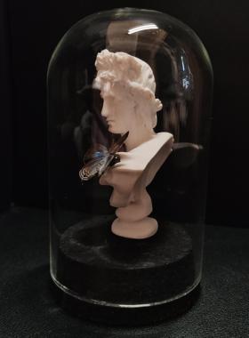 真蝴蝶艺术玻璃罩摆件妩灰蝶标本小灰蝶雕塑小众手工收藏礼物