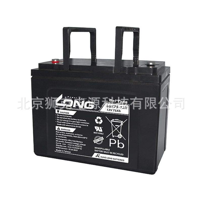 广隆蓄电池WP24-12ANE 12V24AH UPS/EPS 数据中心备用电源AGM电池 - 图2
