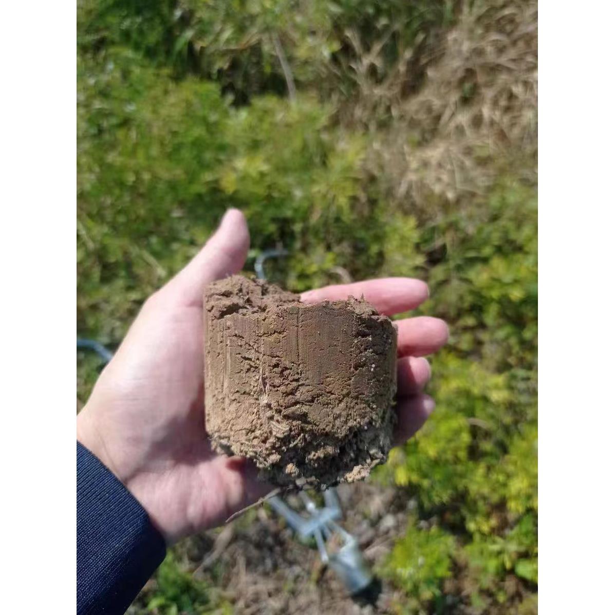 地膜打孔器种植种瓜定距尺移栽器打洞器取土器双杆栽苗器不锈钢 - 图2