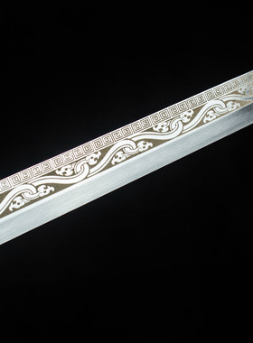 龙泉市刀剑高锰钢防身墨龙唐横刀