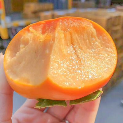 三秦美农巧克力脆柿子树上新鲜货