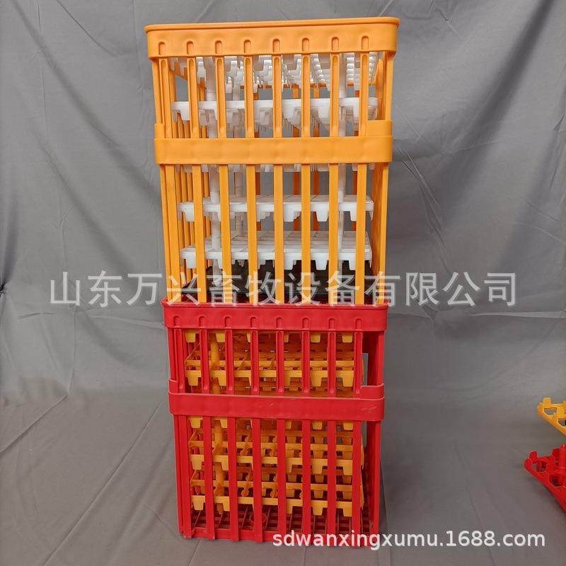 种鸭用蛋筐 出口品质新式蛋筐 多功能塑料筐 厂家供应,淘宝优惠券,粉丝福利购,淘宝优惠卷