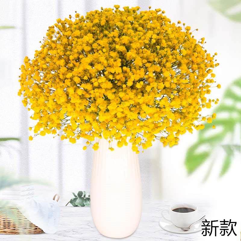 云南鲜花直发满送干花天星女朋友毕业礼物办公室生日家庭花束新款