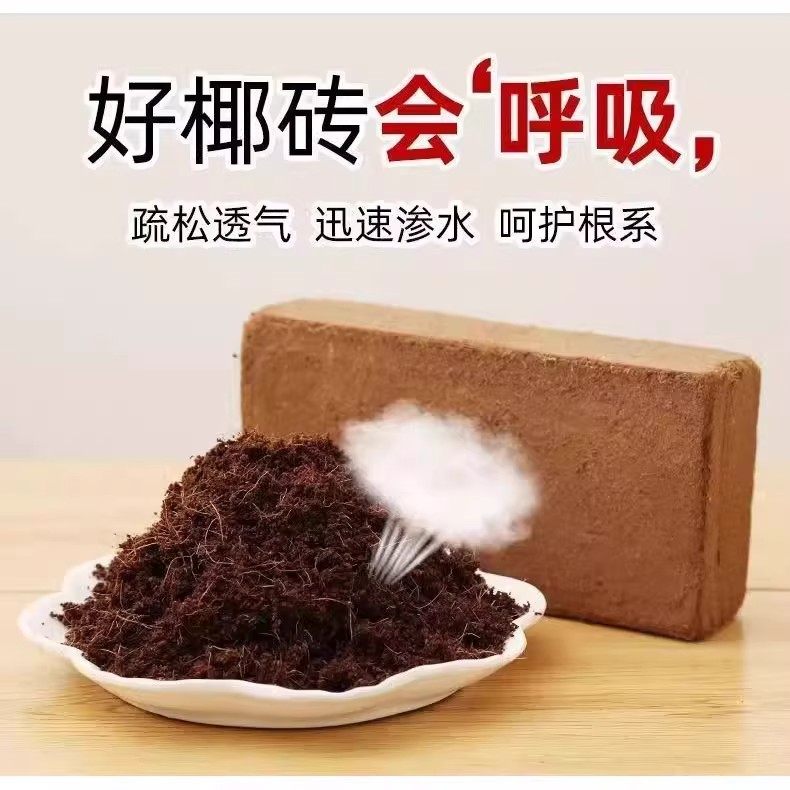 椰砖营养土通用型粗椰糠壳专用花土壤种植养花种菜耶砖块脱盐椰丝,淘宝优惠券,粉丝福利购,淘宝优惠卷
