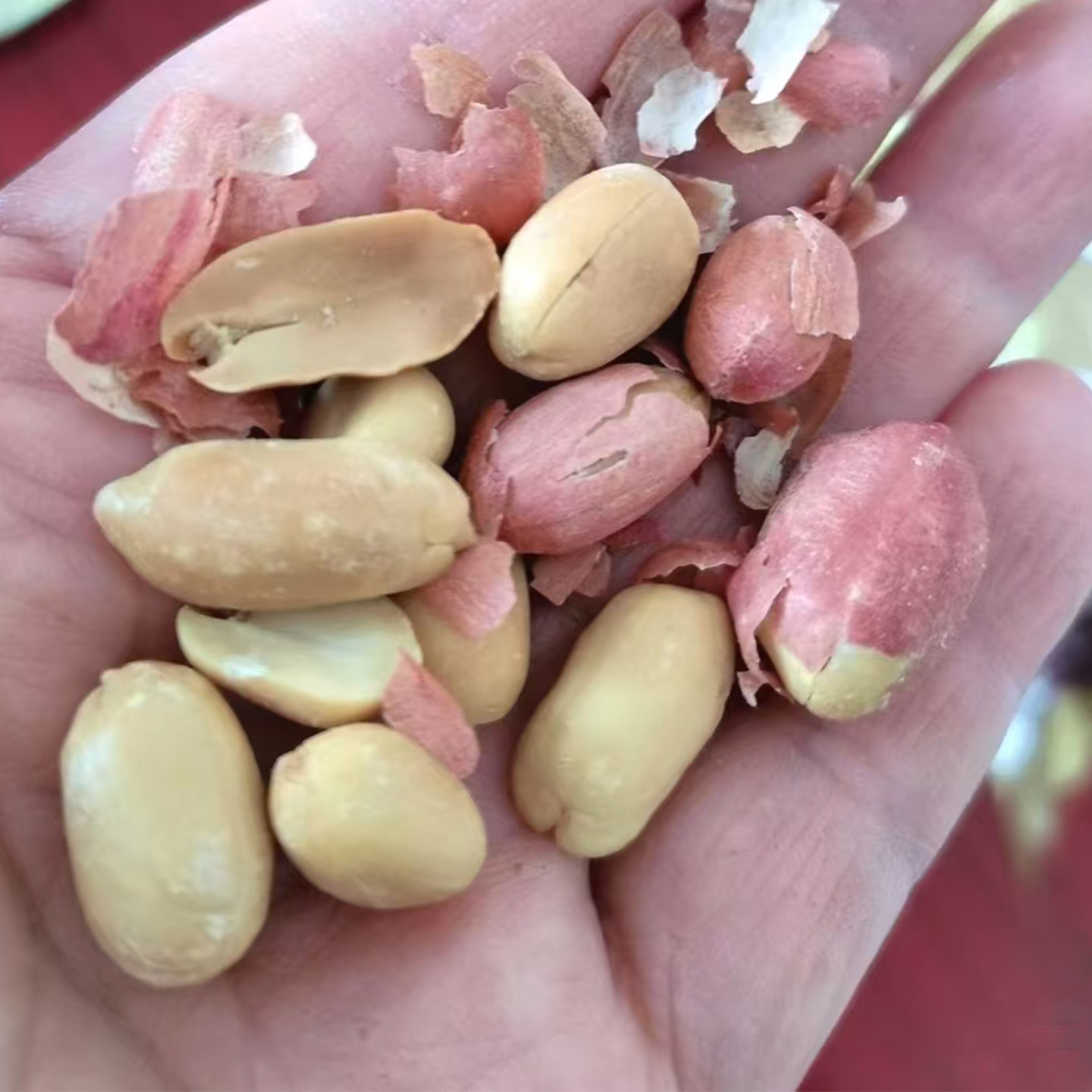 正山东五香宗烤花生特脱油蒜香奶香产净重下酒菜炒货新货零食坚果,淘宝优惠券,粉丝福利购,淘宝优惠卷