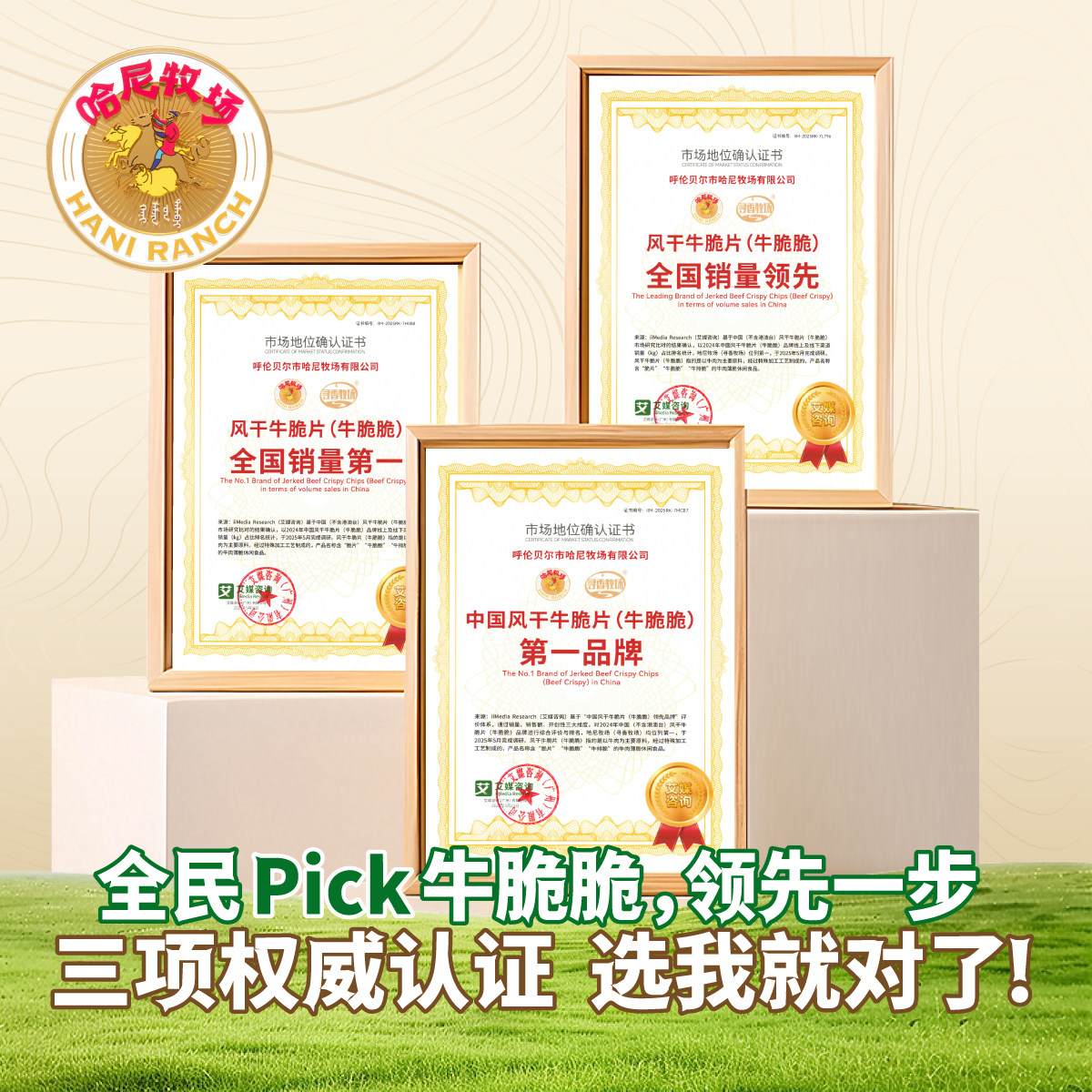 【来个彩诞】哈尼牧场牛脆脆内蒙古风干牛肉干牛肉脆片100g牛排脆