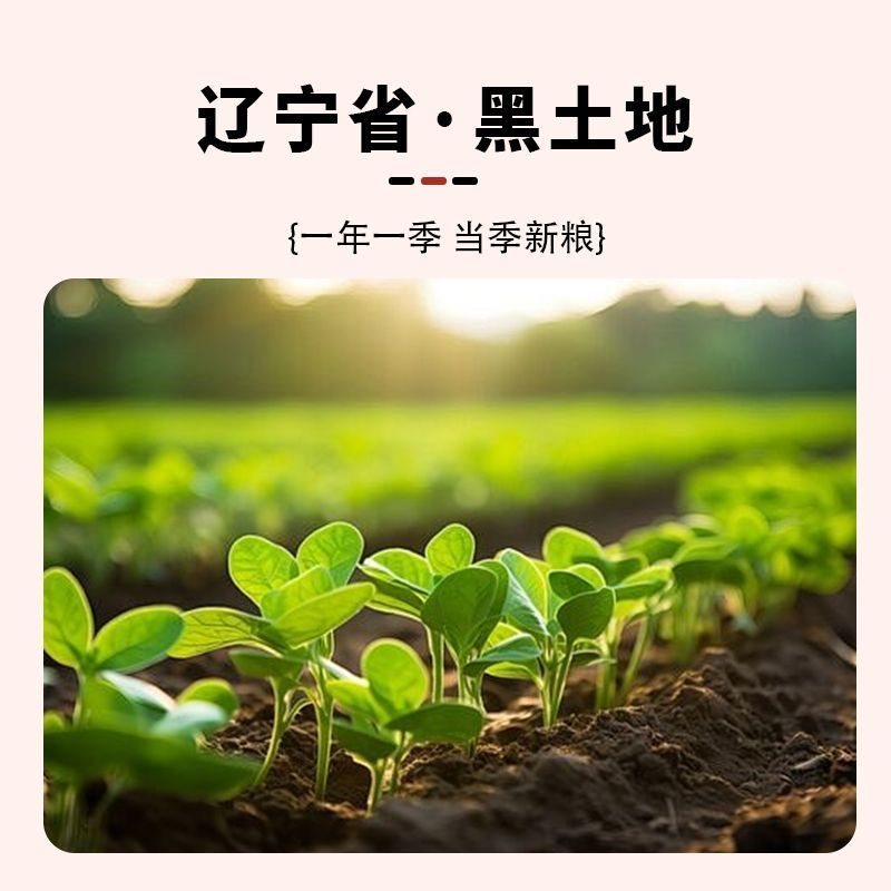 现剥】25年当季红皮花生米新货小颗粒正宗无壳四粒红花生红衣花生,淘宝优惠券,粉丝福利购,淘宝优惠卷