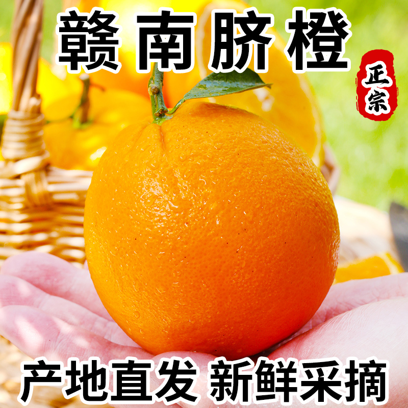正宗赣南脐橙江西赣州产地直发手剥橙当季孕妇甜橙子新鲜水果整箱