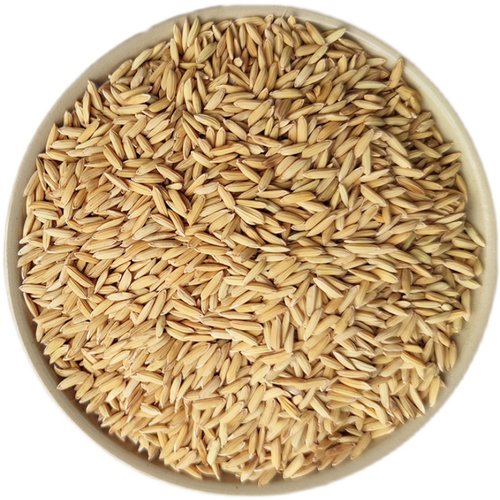 新稻子2斤100斤新稻谷带壳谷子喂鸡稻谷鸭鹅鸽鸟仓鼠宠物饲料批发 - 图3