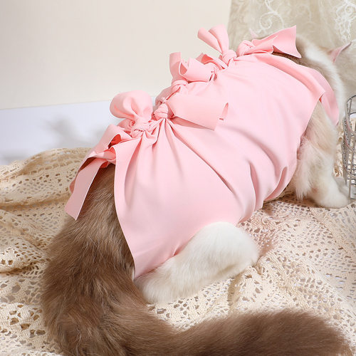 猫咪绝育服猫咪产后衣服公猫手术服猫咪生理裤术后防舔宠物绝育服 - 图2