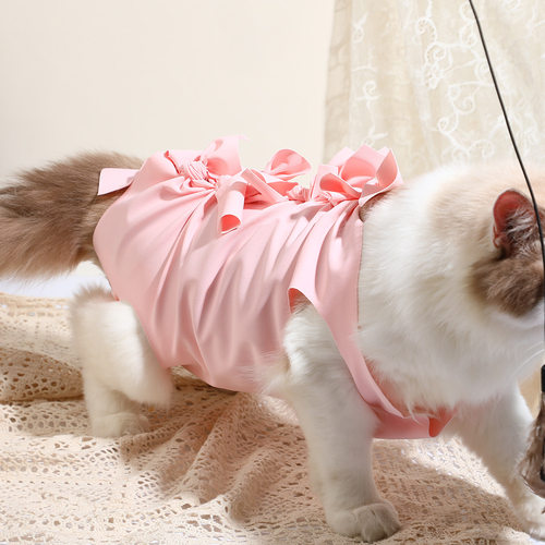 猫咪绝育服猫咪产后衣服公猫手术服猫咪生理裤术后防舔宠物绝育服 - 图1