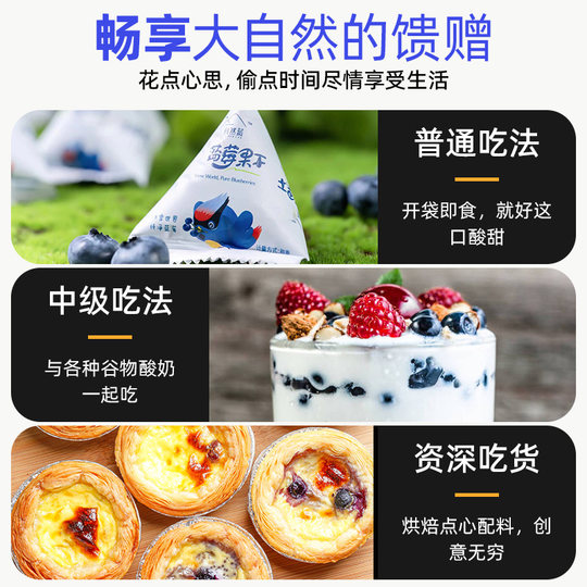 东北长白山蓝莓果干100g/袋独立小包装