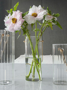 视远北欧简约玻璃小花瓶高级感轻奢插花摆件现代创意家居装饰
